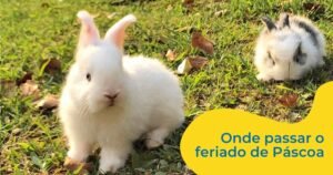 Feriado de Páscoa