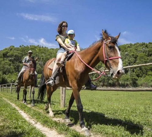 hotel-fazenda-passeio-cavalo Estância Solazer